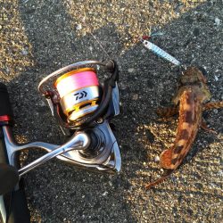 夕マヅメライトゲーム